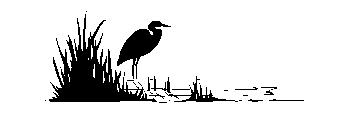 Heron